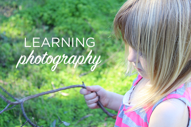 Learning Photography with a DSLR