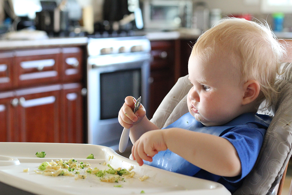 baby food love