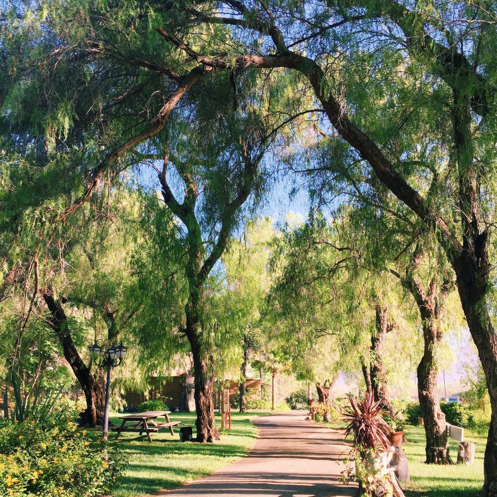 The Ranch at Bandy Canyon BriGeeski