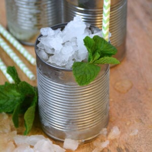 This Girl’s Mint Julep This Girl's Mint Julep