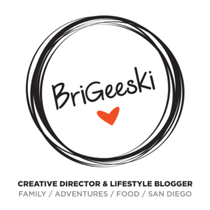 A Fresh Look & Logo BriGeeski Rebrand