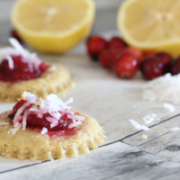 Cranberry Cookies