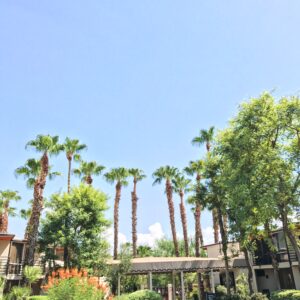 A Weekend In Palm Springs With The Kids The Riviera Palm Springs