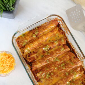 Creamy Chicken Enchiladas Enchiladas Tray