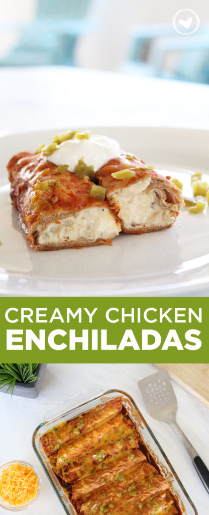 Creamy Chicken Enchiladas - BriGeeski