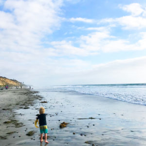 Beach Camping in Carlsbad carlsbad