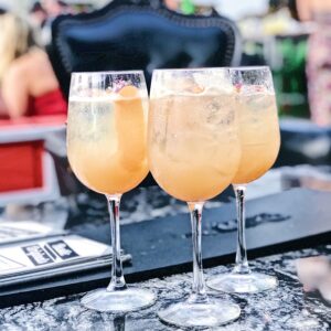 Rustic Root Drinks with the ladies in downtown San Diego