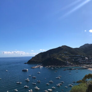 A One Night Trip to Catalina Island catalina-island