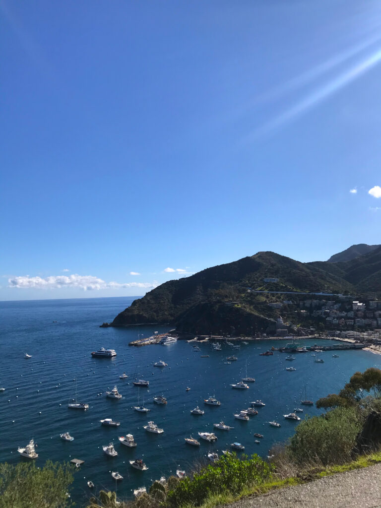 Everything you need to know for a one night trip to Catalina Island
