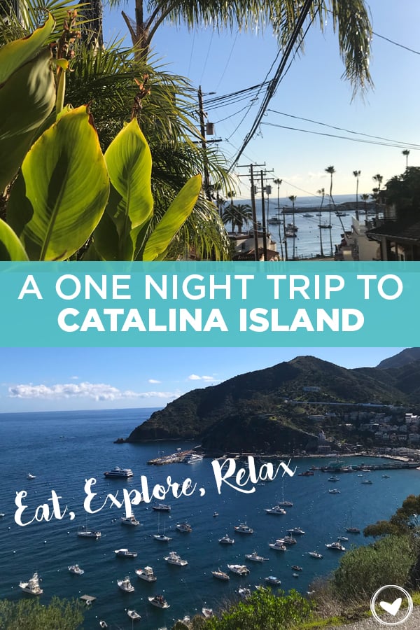 A One Night Trip to Catalina Island