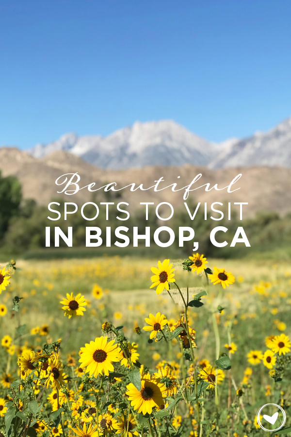 Beautiful Spots to Visit in Bishop, CA