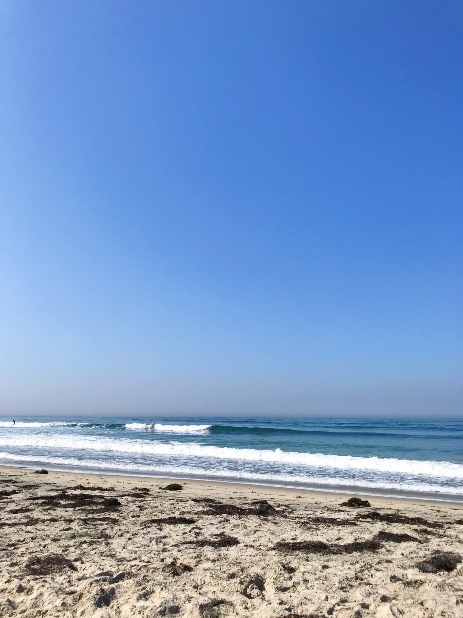 Olive Baking Company & Cafe in Mission Beach BriGeeski