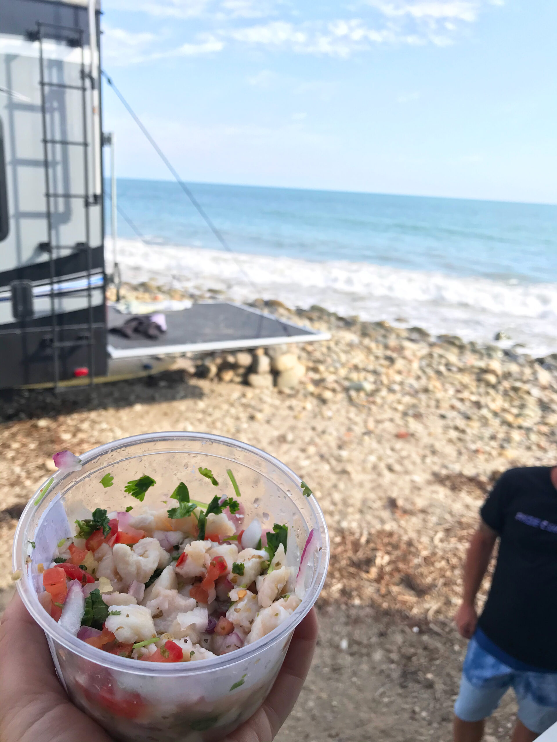 Ceviche on the beach