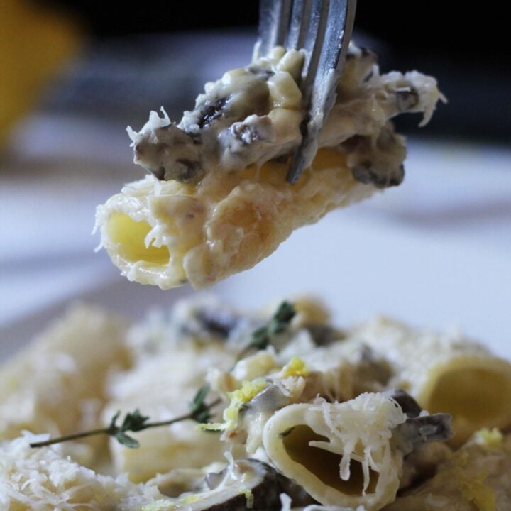 Pasta Bite
