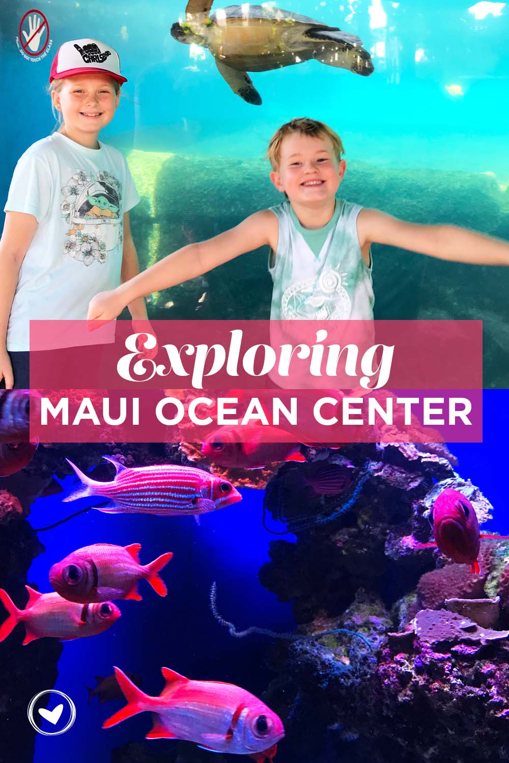 Exploring Maui Ocean Center