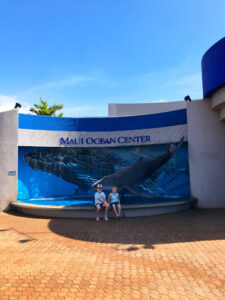 maui ocean center whale