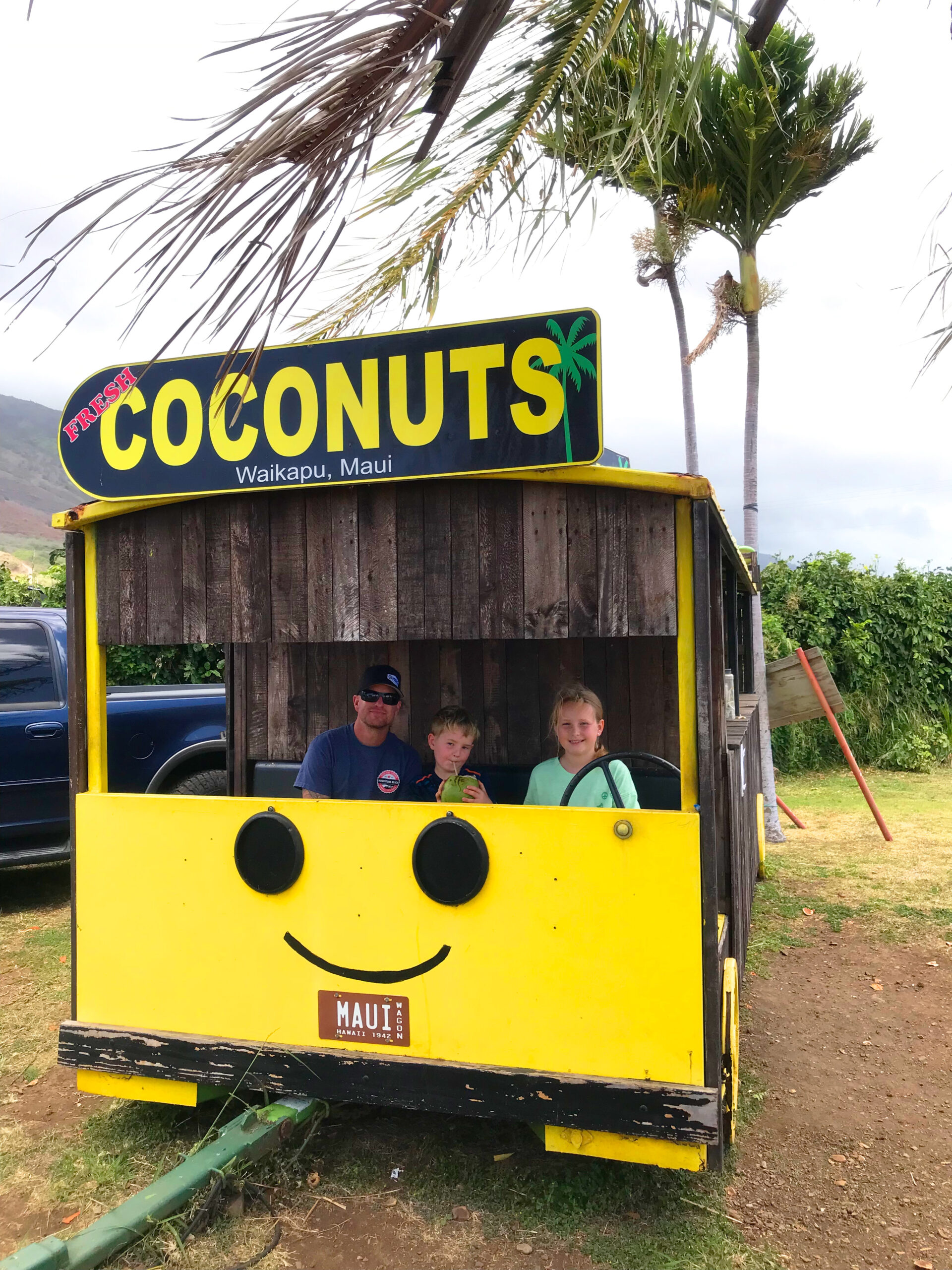 coconuts in maui