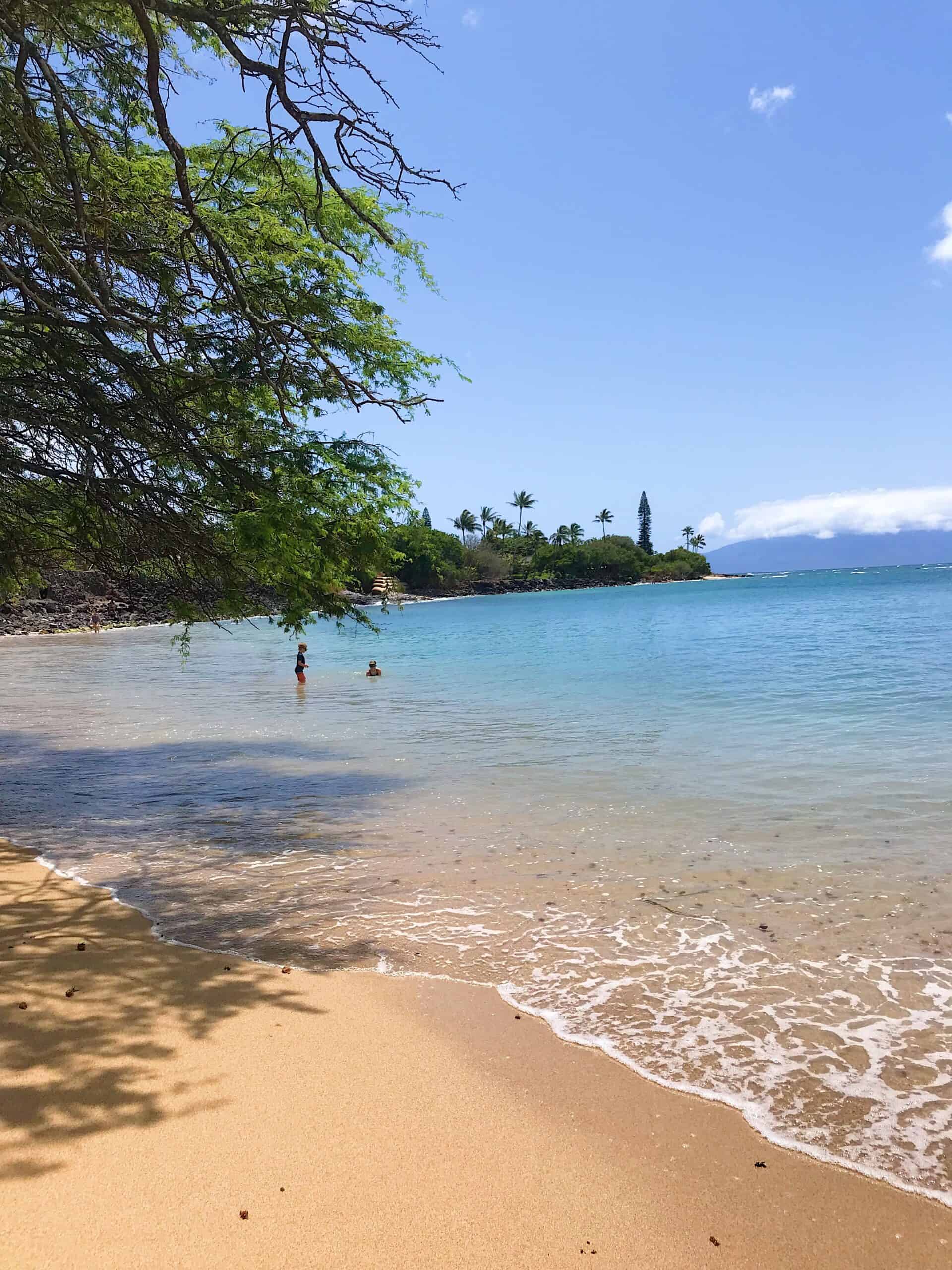 Beach beach in Maui