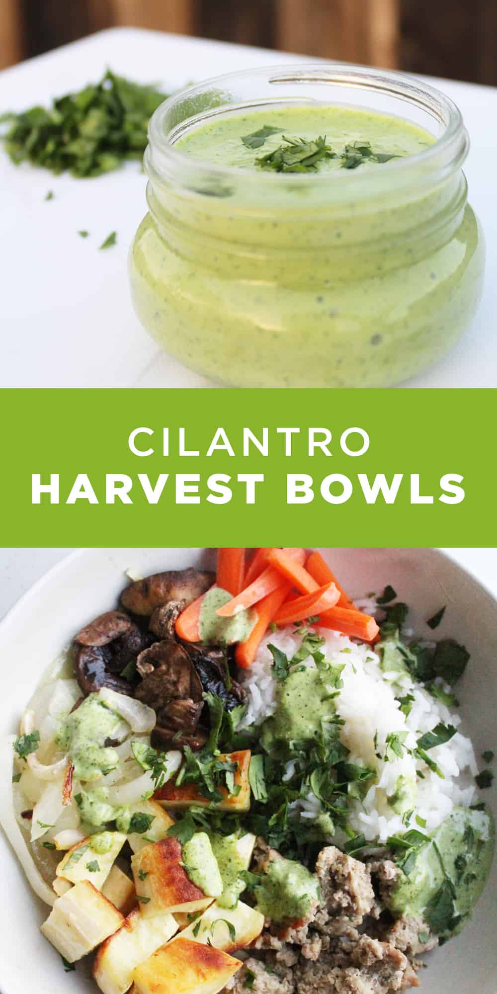 Cilantro Harvest Bowls Recipe