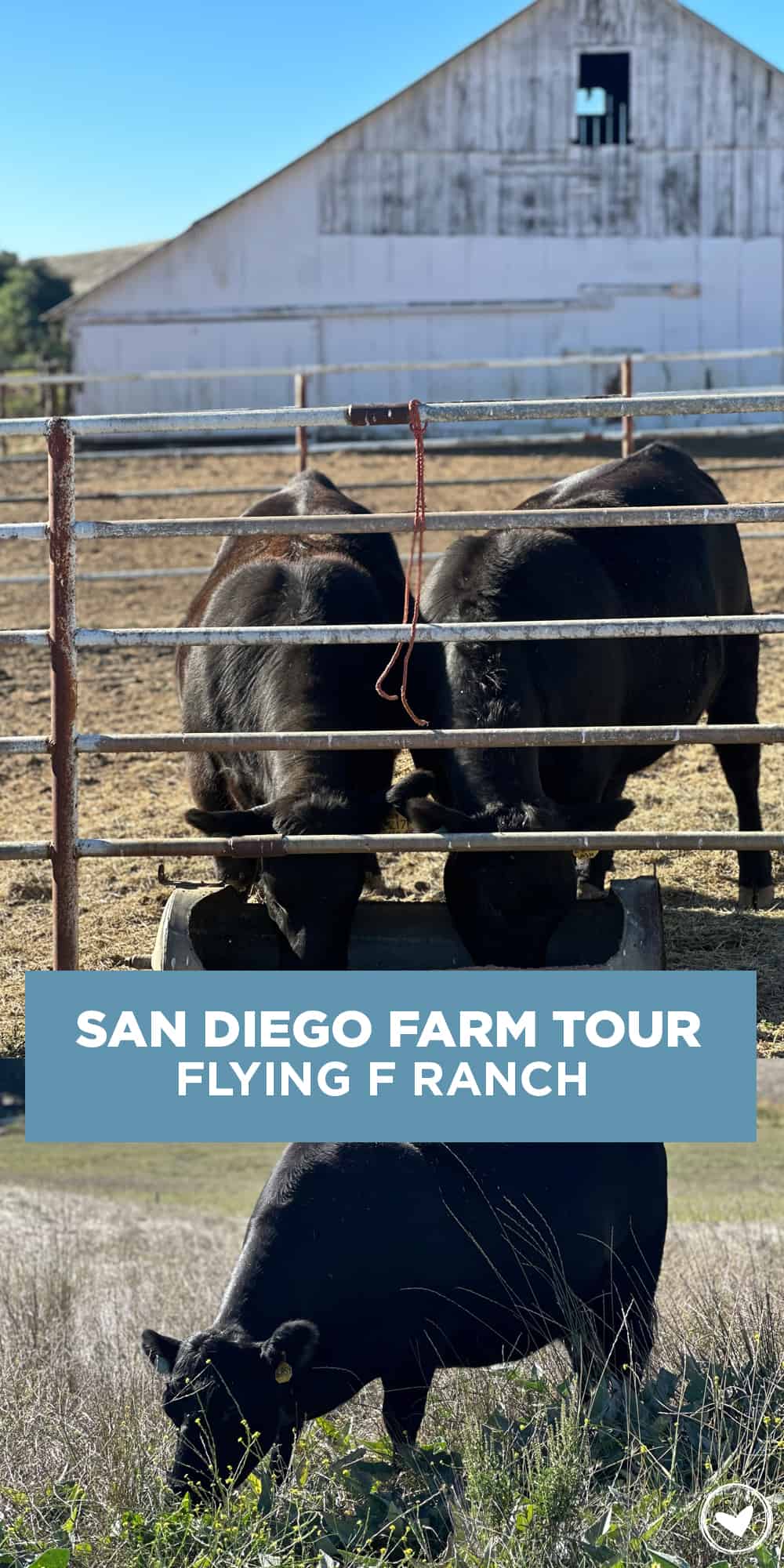 San Diego Farm Tour