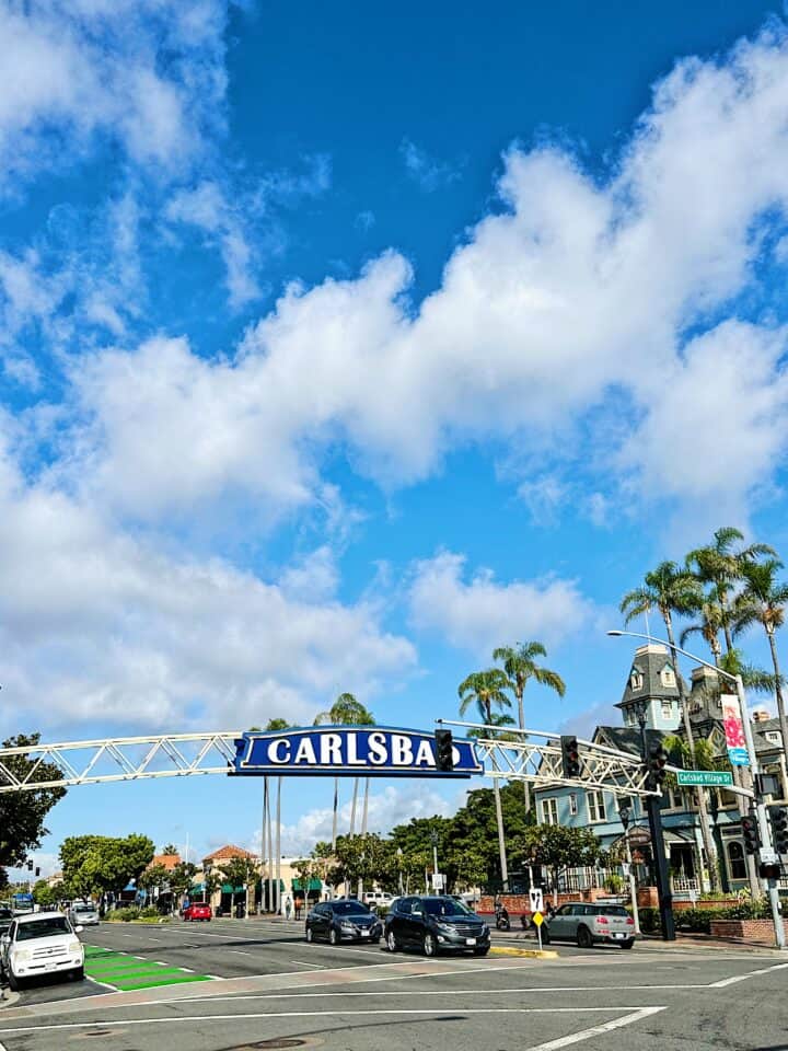 Things To Do in Carlsbad - BriGeeski