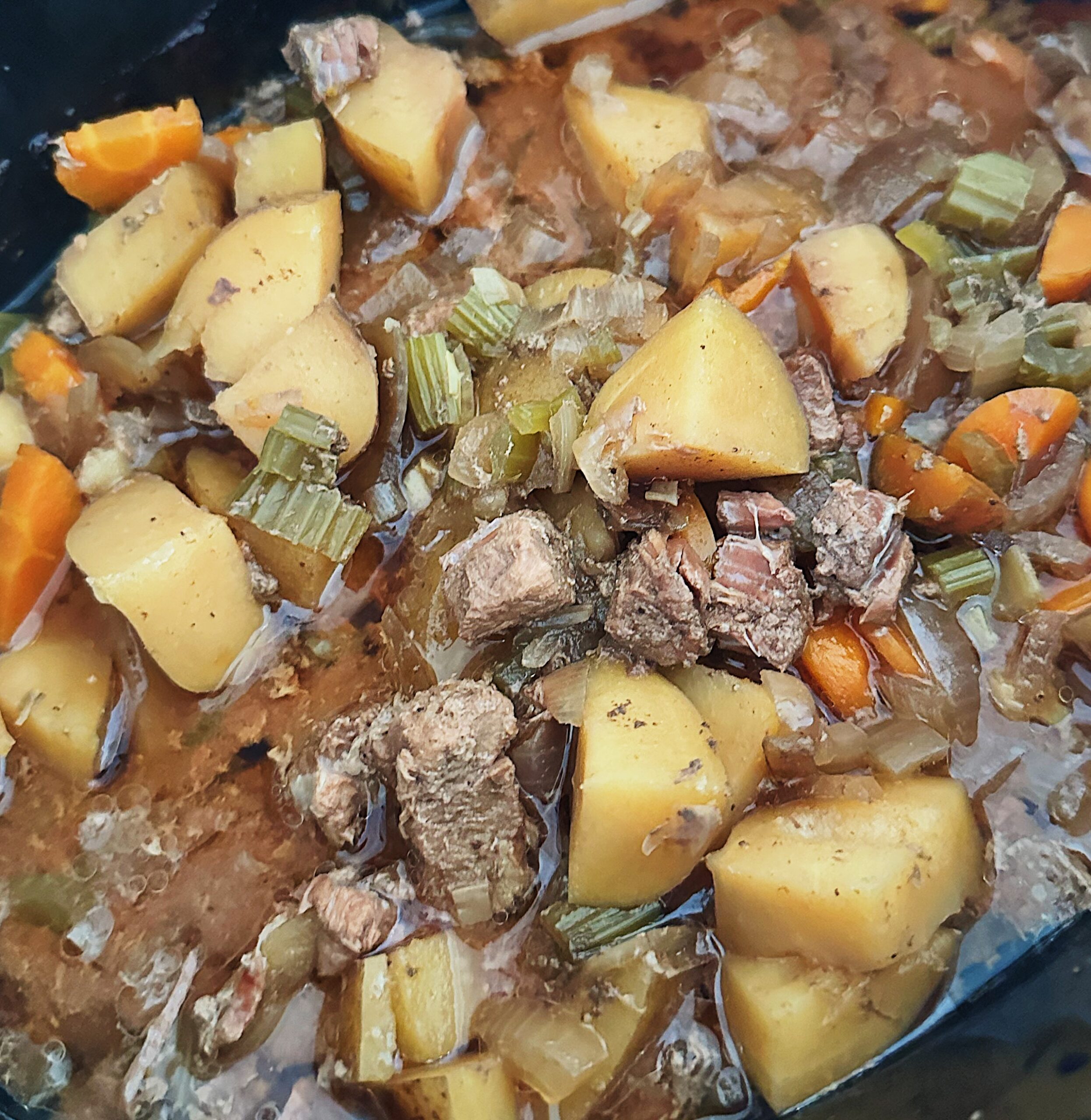 Beef Stew Close Up