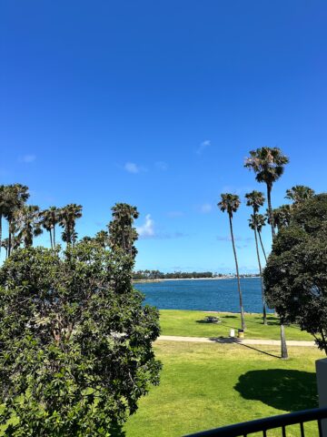 The Bay from the Dana