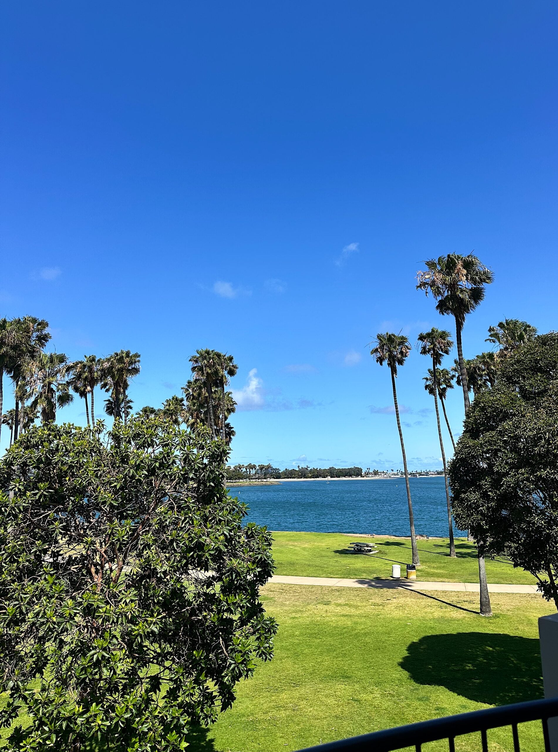 The Bay from the Dana
