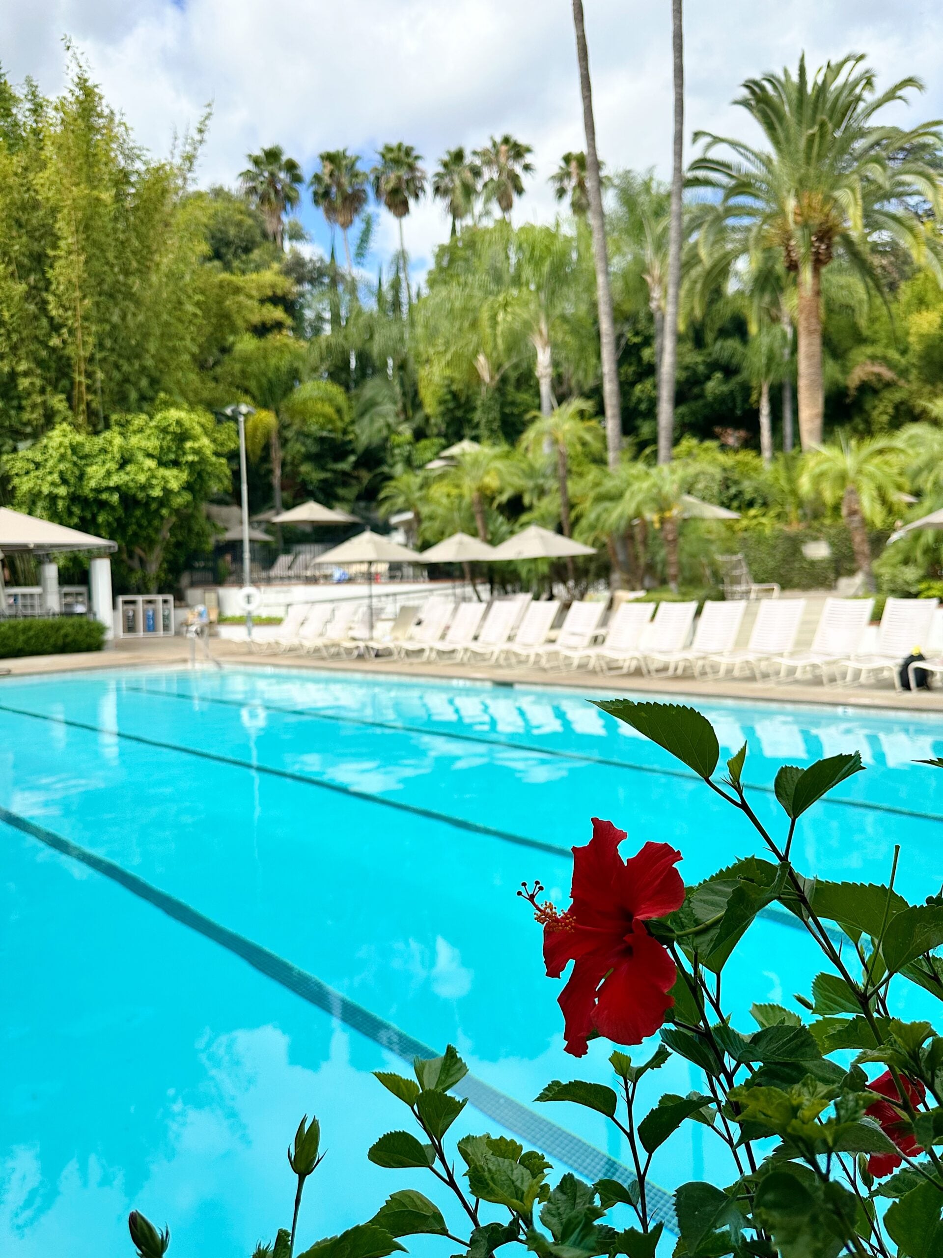 spa pool